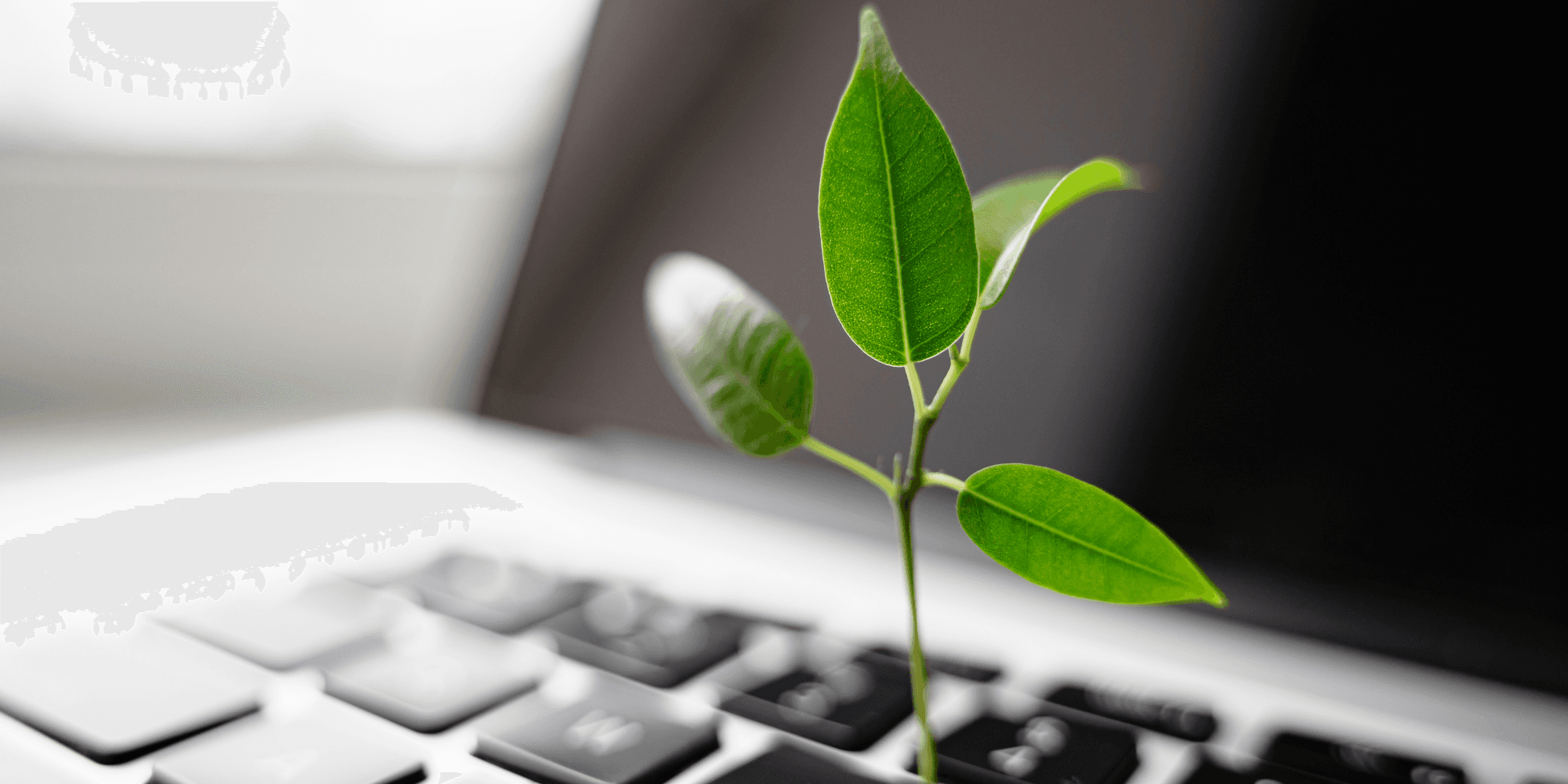 Logistica per ecommerce: le soluzioni green