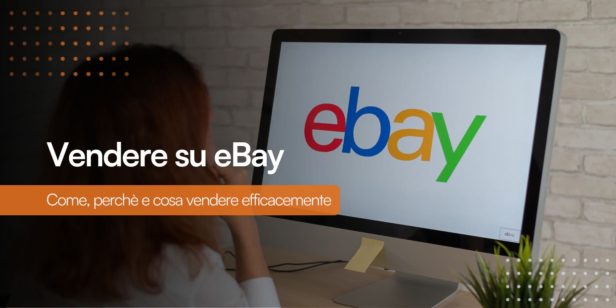 Persona di spalle seduta davanti al monitor di un pc mentre fa acquisti sul marketplace eBay